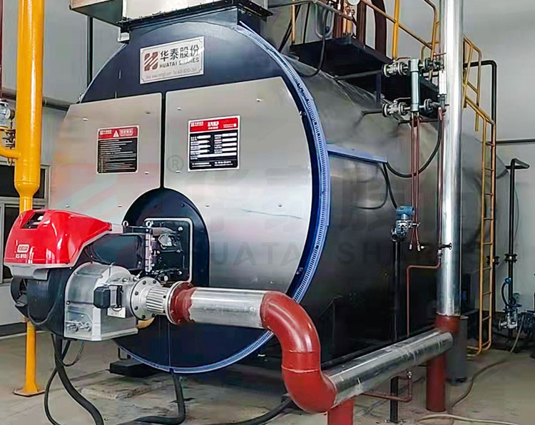 WNS Газовый (топливо) водогрейный котел